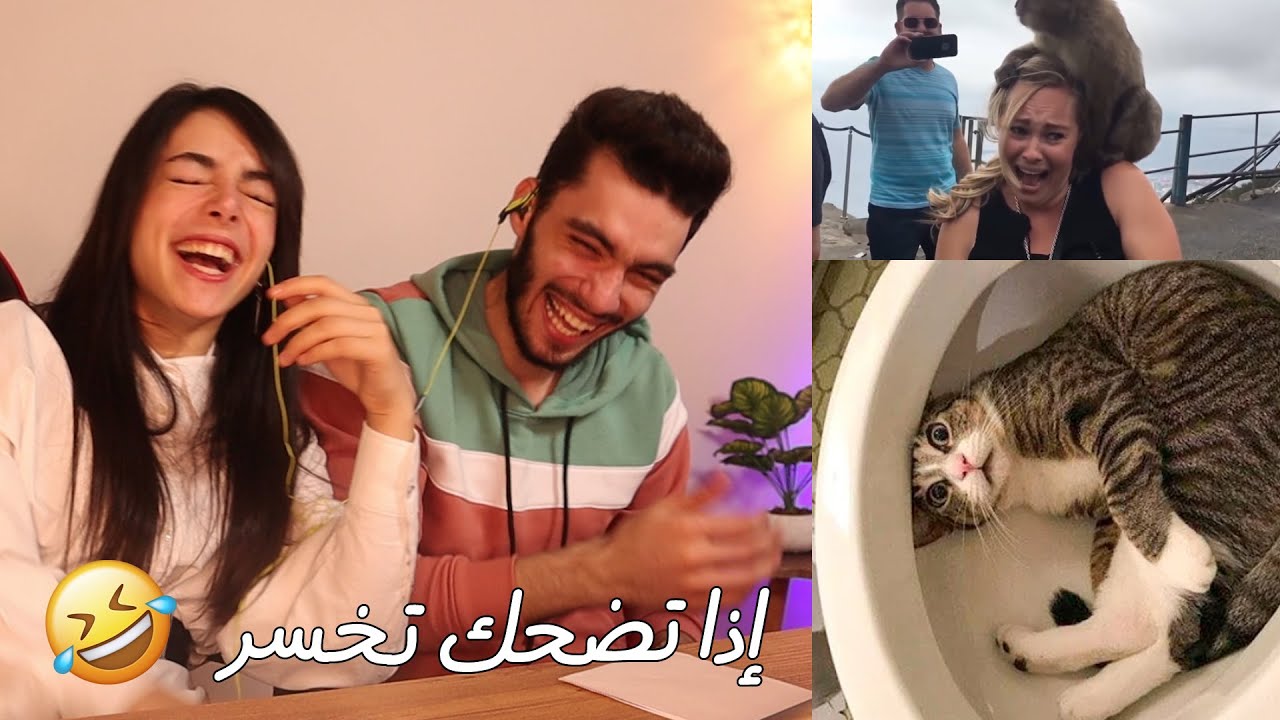 اتحداك ما تضحك مع طبنجة | مستحيل ما تضحك