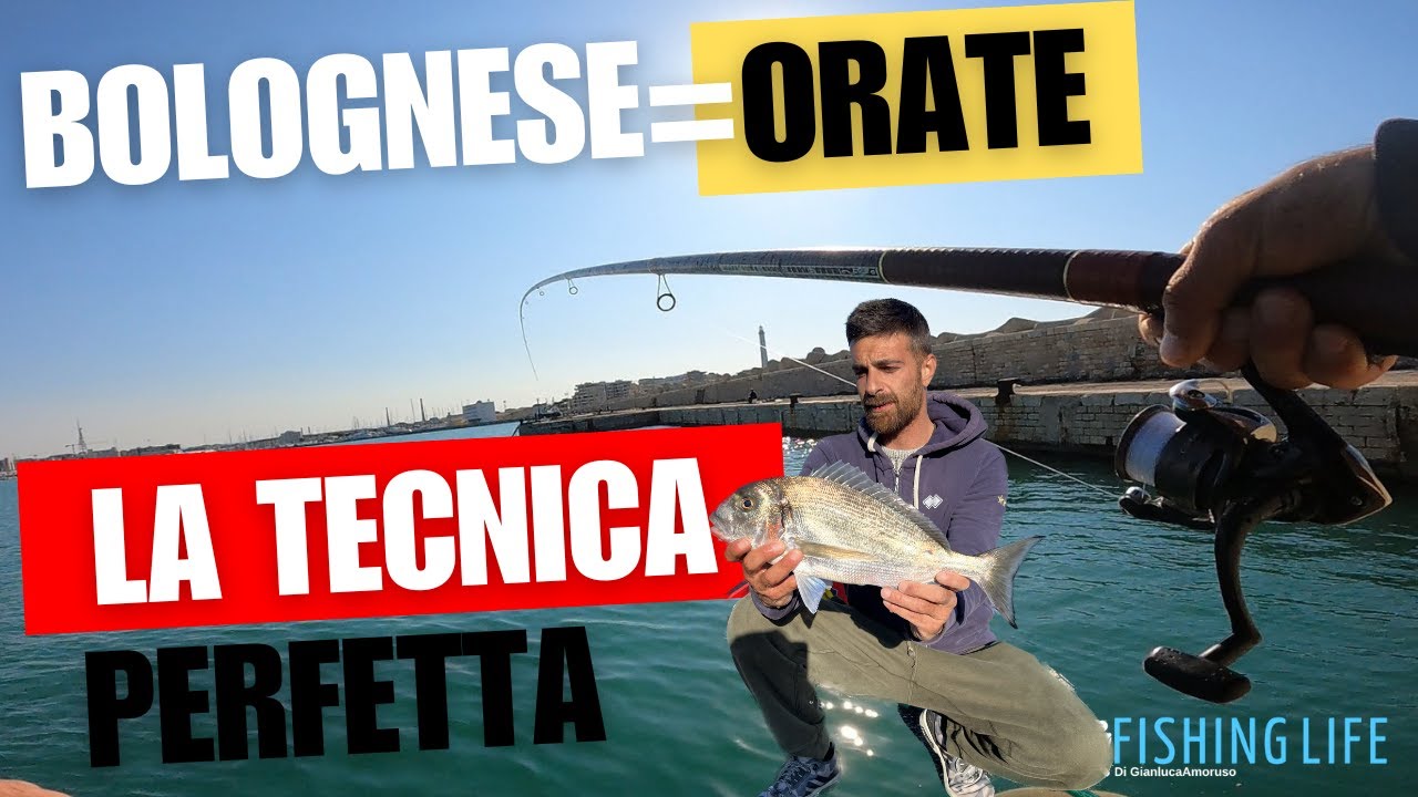 A Pesca Di Orate Con La Tecnica Della Bolognese & Pasturatore Drone 4k