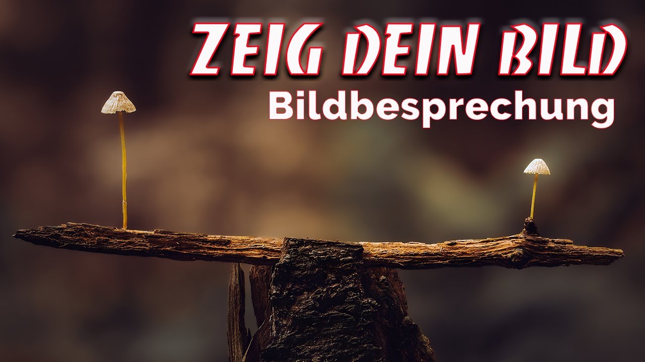 Zeig Dein Bild - Die Fotobesprechung - Makrofotografie