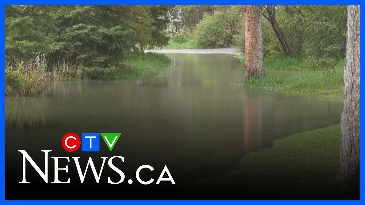 В Калгари отменено предупреждение о проливных дождях | CTV News Calgary: полуденный выпуск новост...