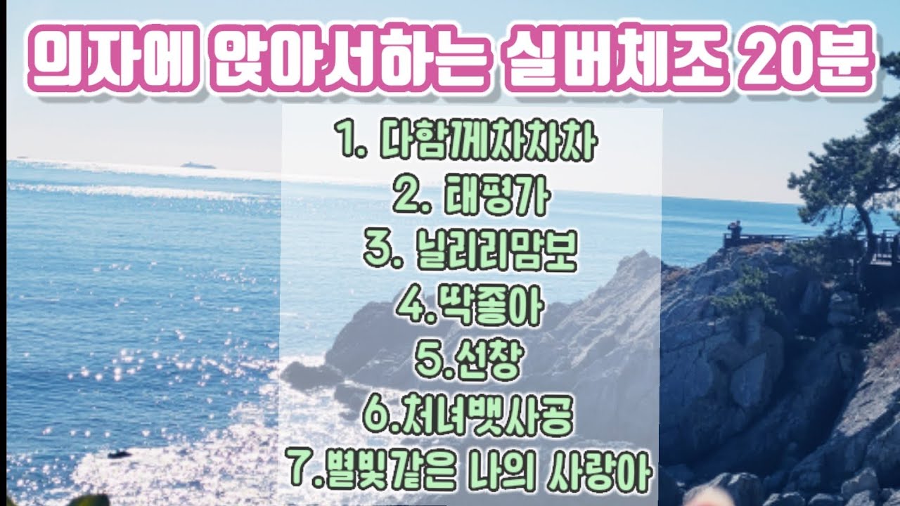 의자에앉아서하는체조♡20분연속운동