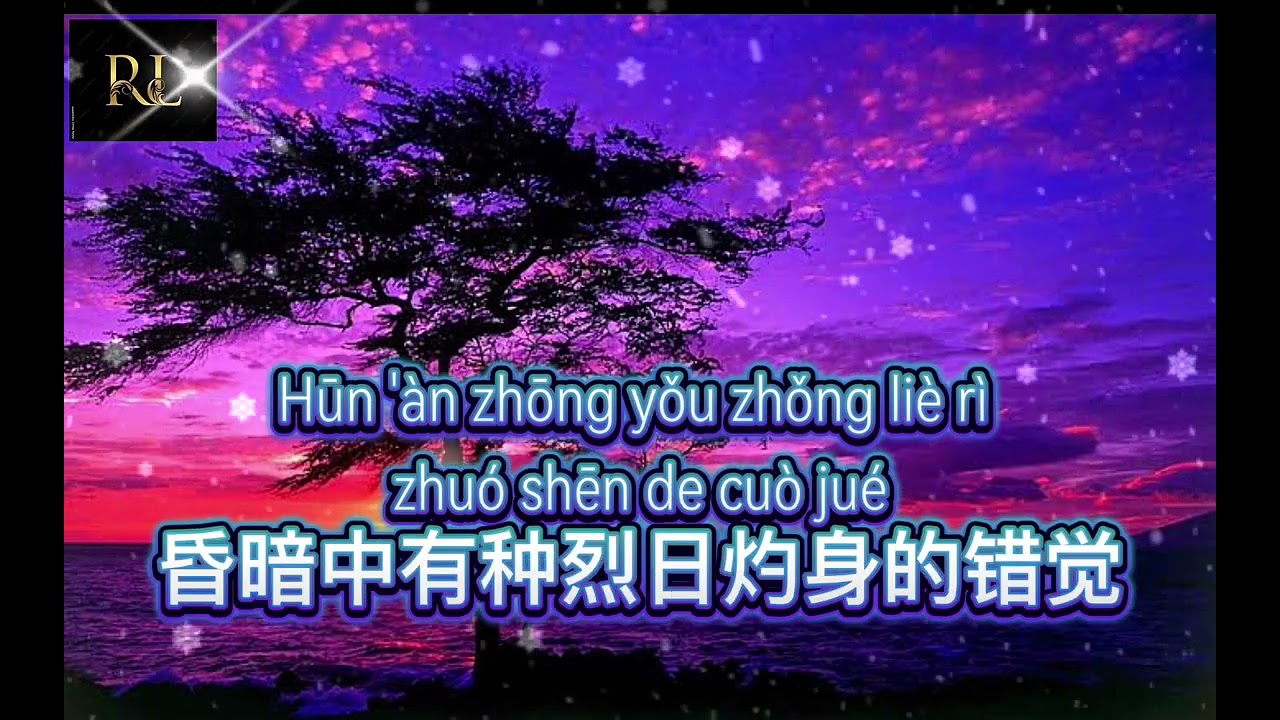 Huang Hun 黃昏 ~ Steve Chou 周傳雄 [violin🎻music] no.vocal