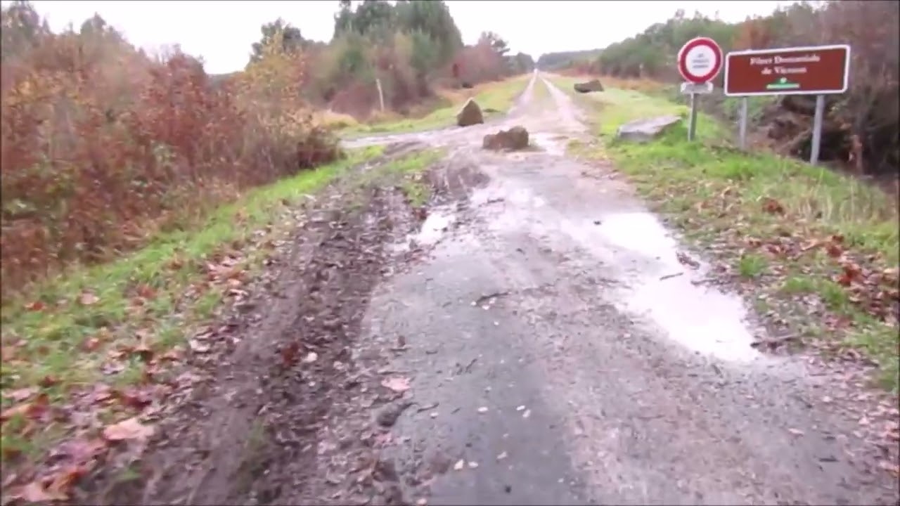 Episode 2 victime riveraine chasse ONF 04 /12/ 2025  Sologne