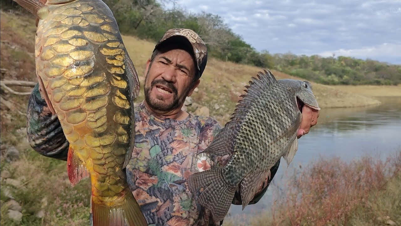 increible carpas trofeo bagres y tilapias en los arroyos de las barrancas