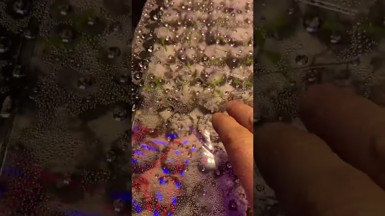 No more Damping Off Disease