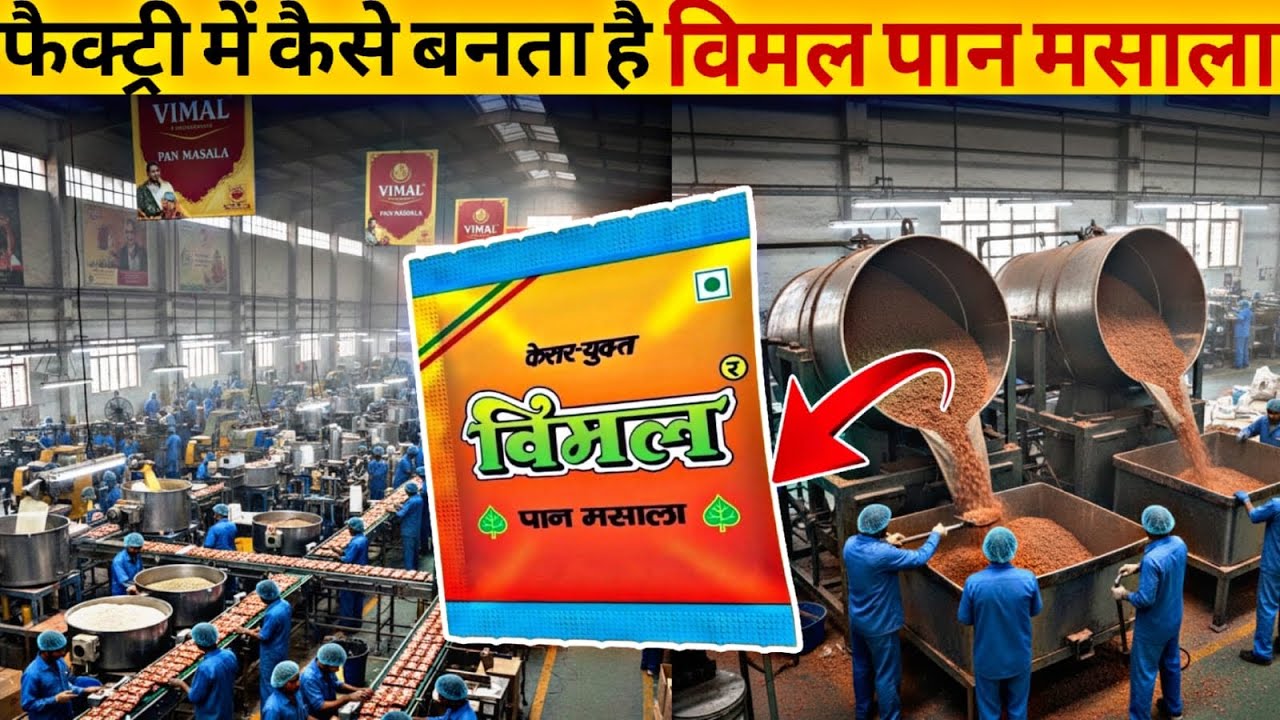Factory me Vimal Pan Masala कैसे बनता है | How Vimal Pan Masala Is Made | punitsoniknowledge