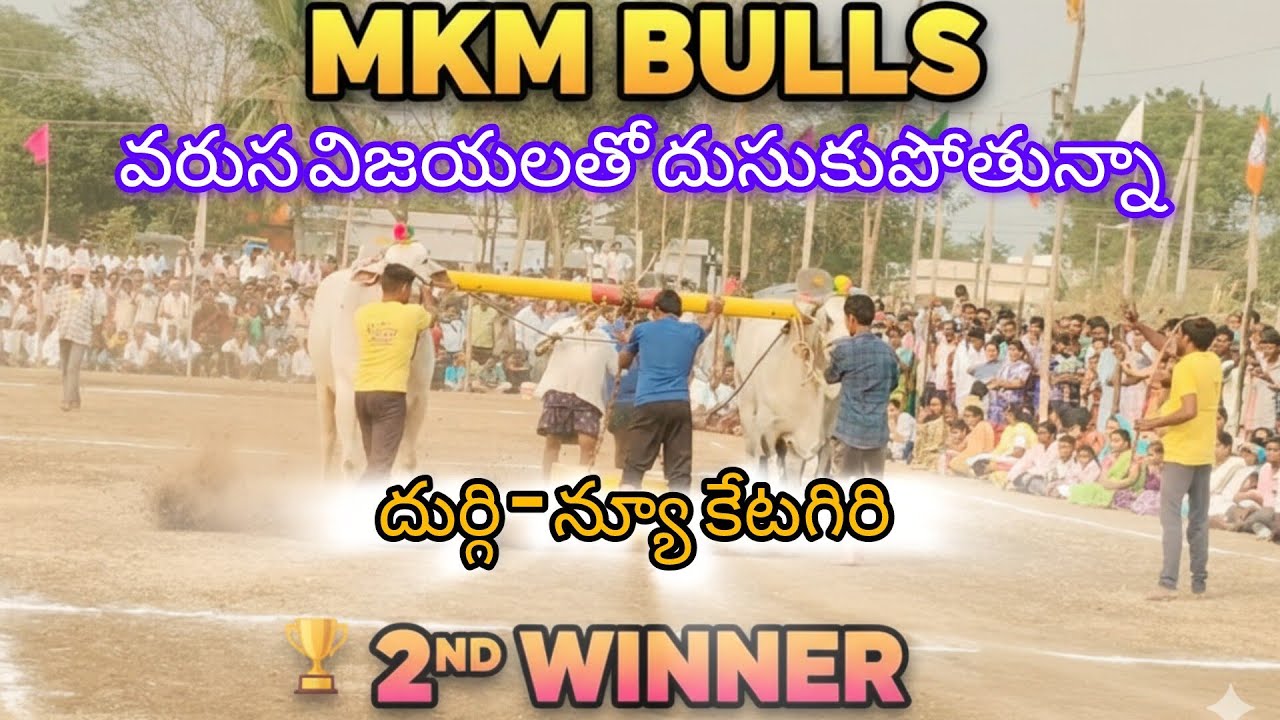 2026 -NEW CATEGORY విభాగం దుర్గి|10 జత MKM BULLS
