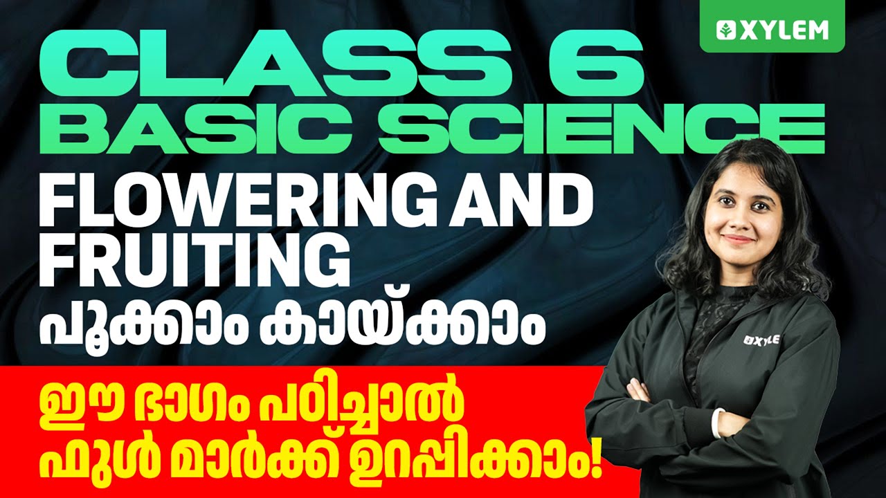 Class 6 Basic Science | Flowering and Fruiting &ndash; Let's grow and bear fruit | Xylem Class 6