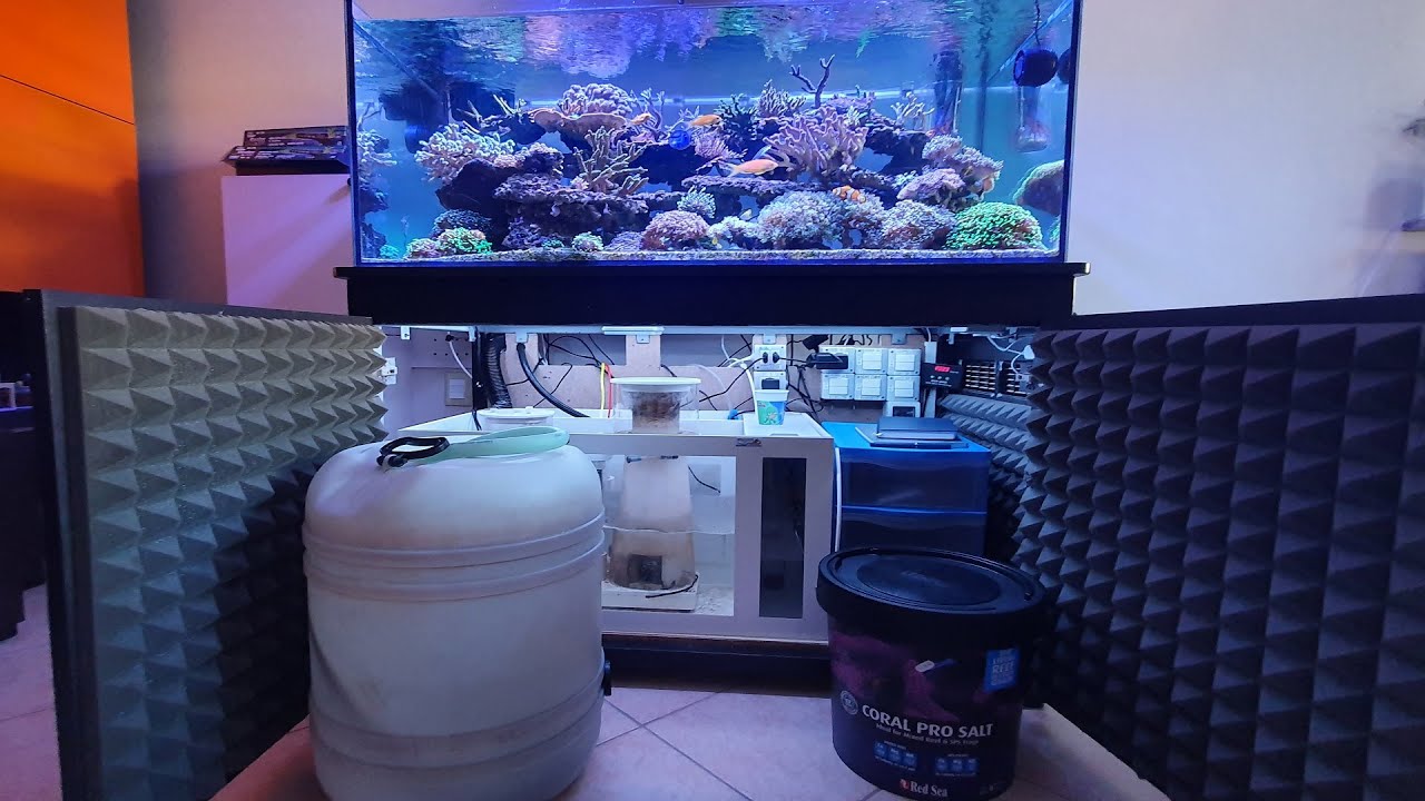ACQUARIO MARINO - CAMBIO ACQUA