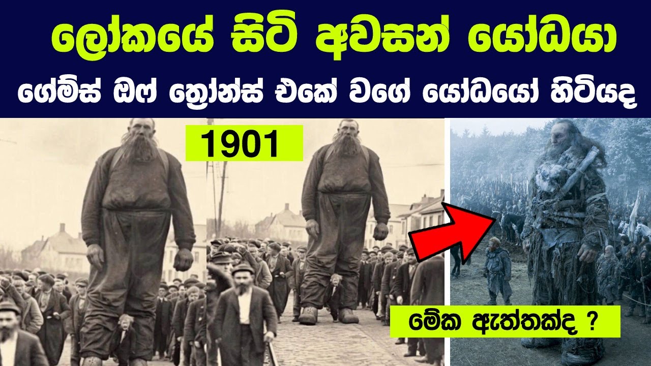 ලෝකයේ සිටි අවසන් යෝධයා - මෙය සත්‍යද ? | The Mystery of Earth's Disappearing Giants