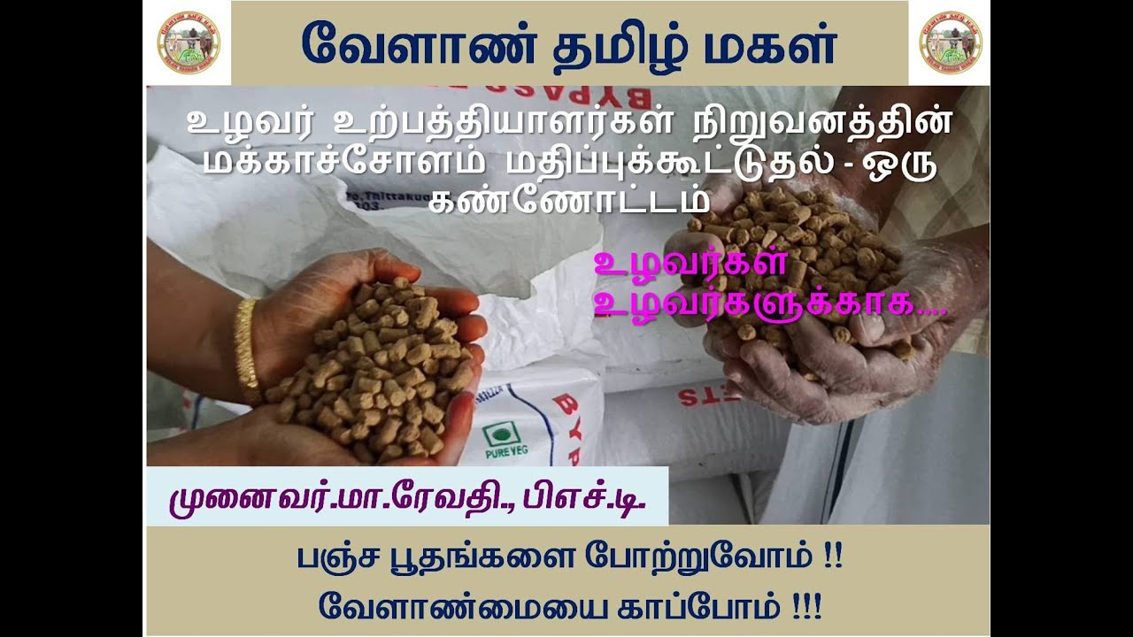 மாட்டு தீவனம் தயாரிப்பு  || உழவர் உற்பத்தியாளர்கள் நிறுவனத்தின் மக்காச்சோளம் மதிப்புக்கூட்டுதல்