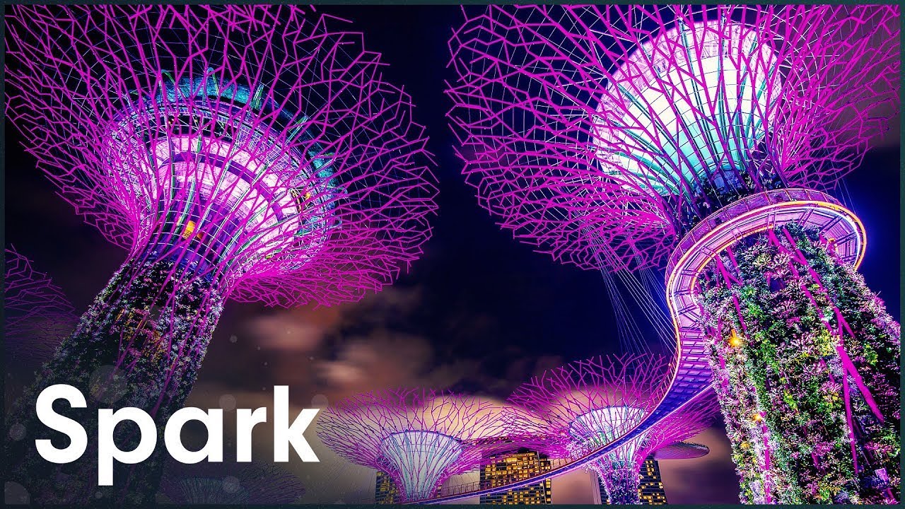Singapore's Incredible 160-Foot Supertrees