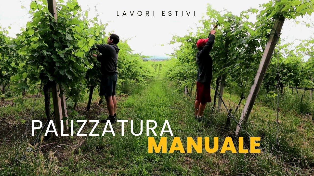 PALIZZATURA MANUALE con DISTANZIATORI METALLICI 💪