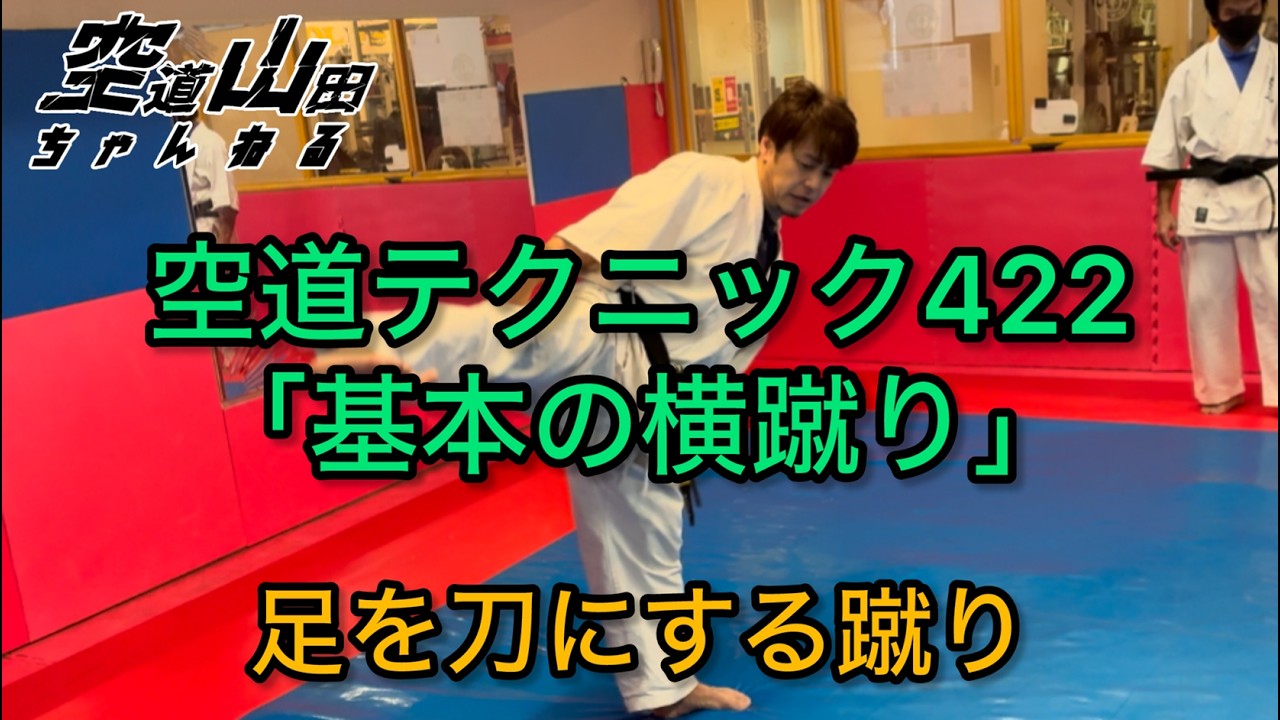 【武道】基本の横蹴り【格闘技】