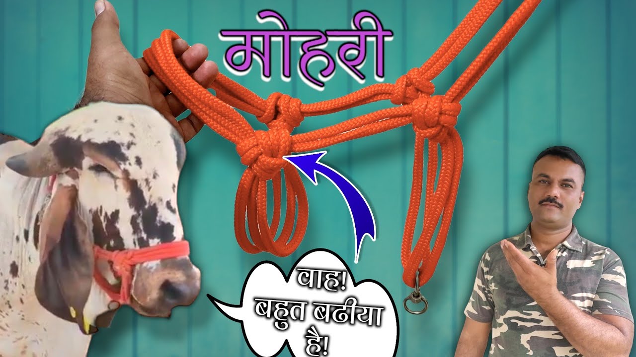 mohri banane ka tarika | मोरखी कैसे बनाते हैं | How to Make rope halter for dairy cow