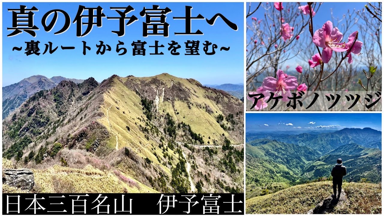 裏ルートから真の伊予富士へ