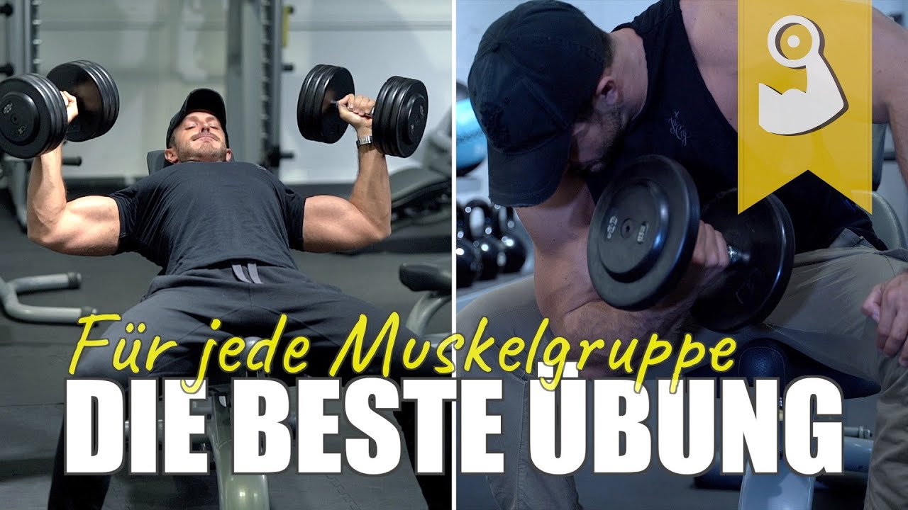Die beste Übung für jede Muskelgruppe