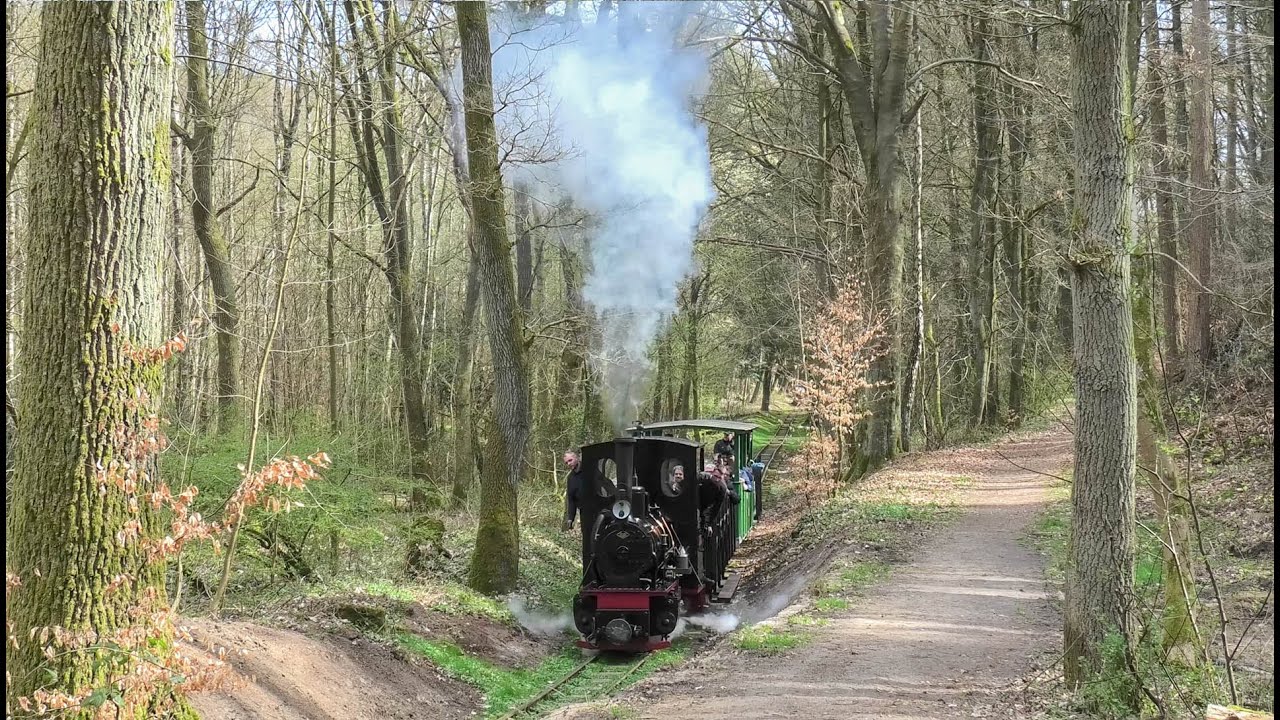 Buchhorster Waldbahnfest 2025 - Schwere Personenzüge mit O&K Dampfloks