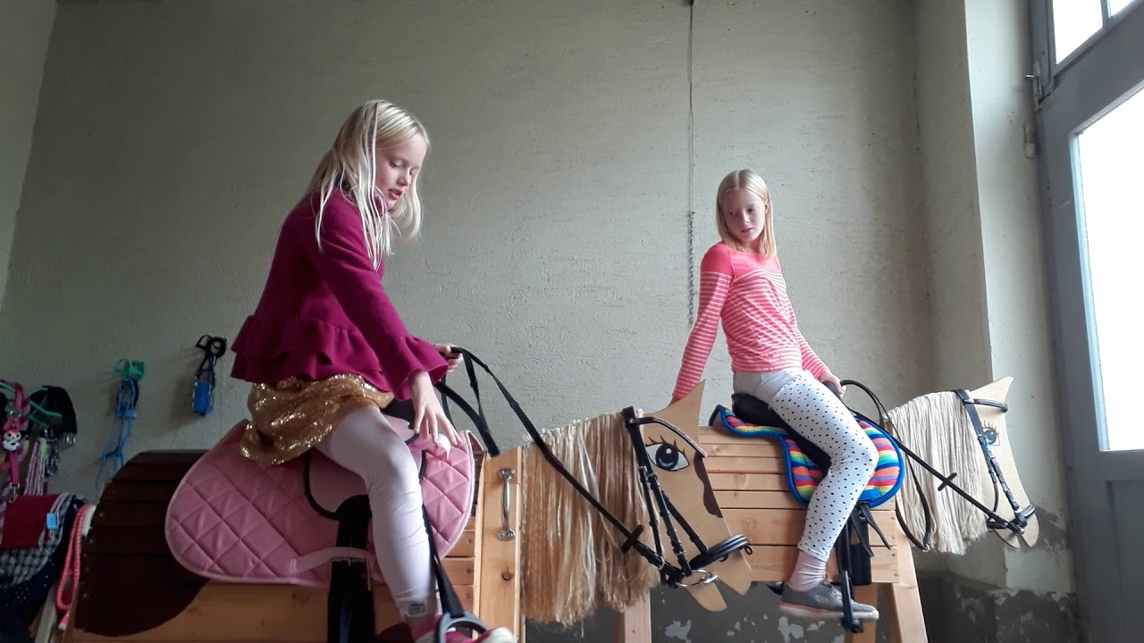 💜FMA💜 mit Toffifee und Amy in der Halle reiten ❤🐎🐎😘🤗