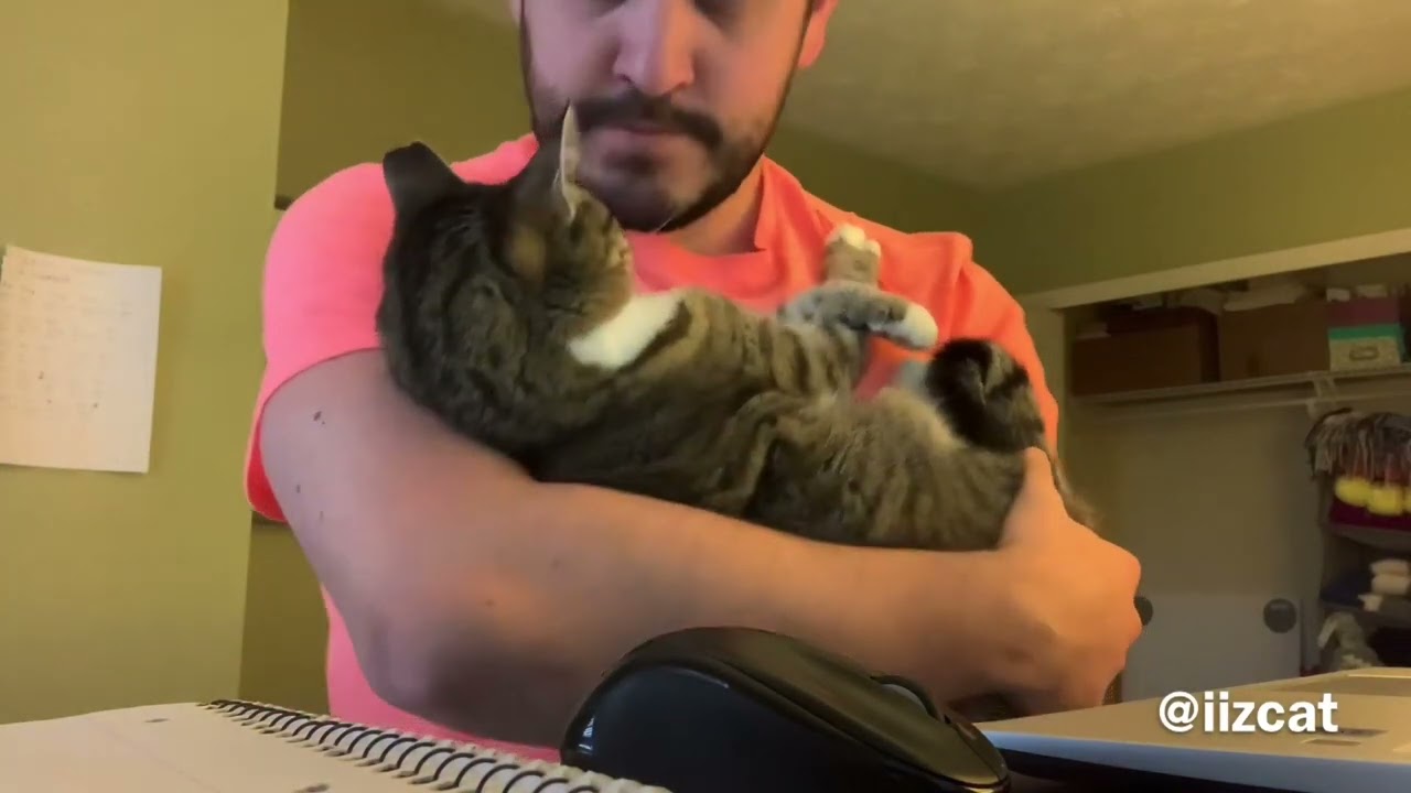 This is how I work at home with Minnie