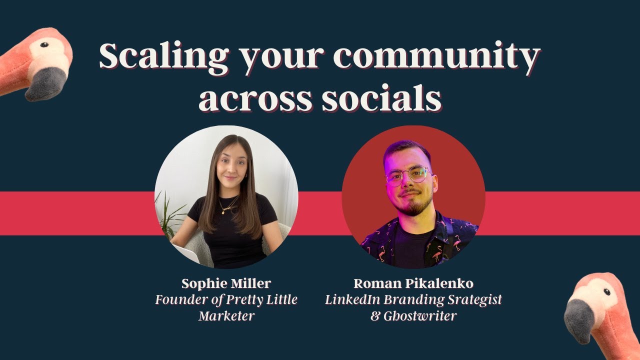 Scaling your community across socials with Sophie Miller | Community Talks 🦩