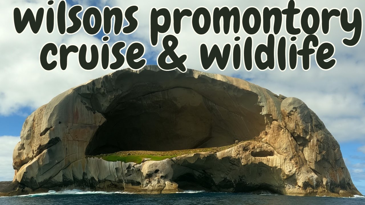 OUR BIG WILSONS PROM ADVENTURE