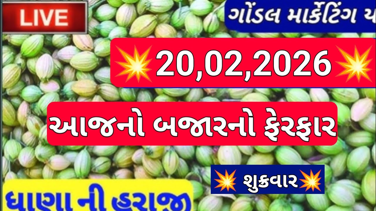 ગોંડલ નવા ધાણા ના બજાર ભાવ / નવા ધાણા ના બજાર ભાવ / આજના ધાણા ના ભાવ / 20,02,2026
