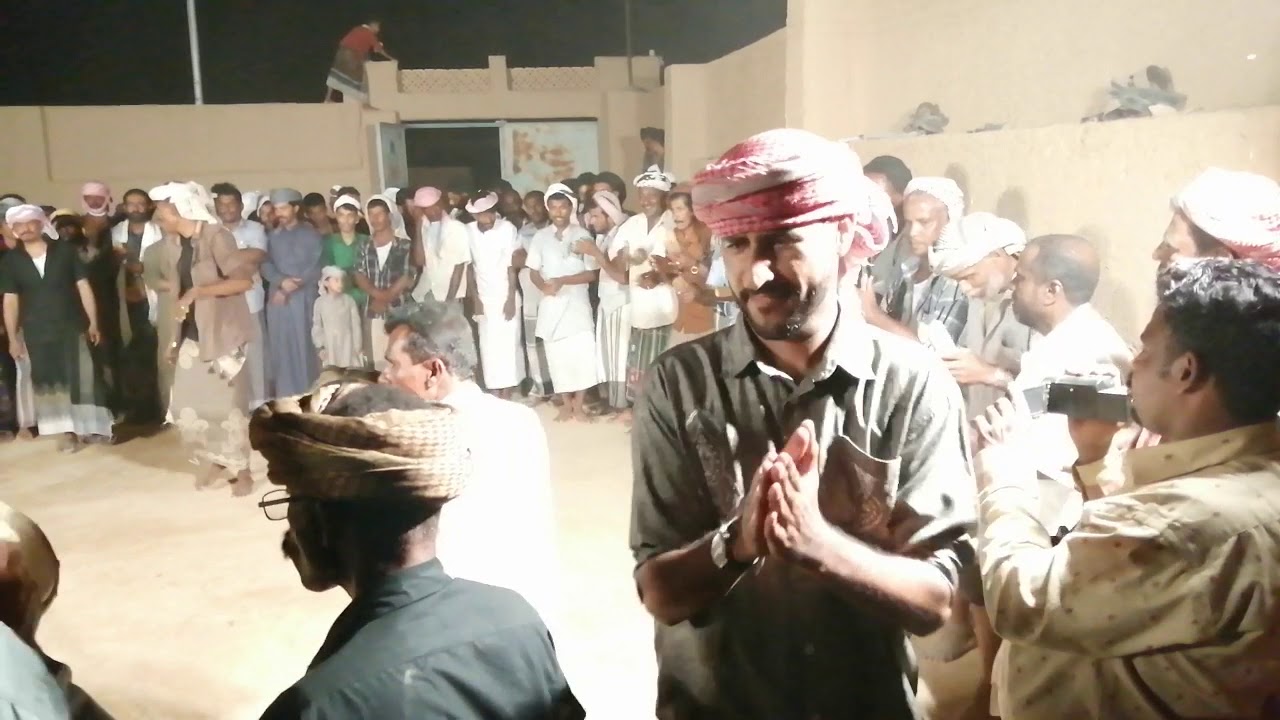 شرح قطني السويري 2019