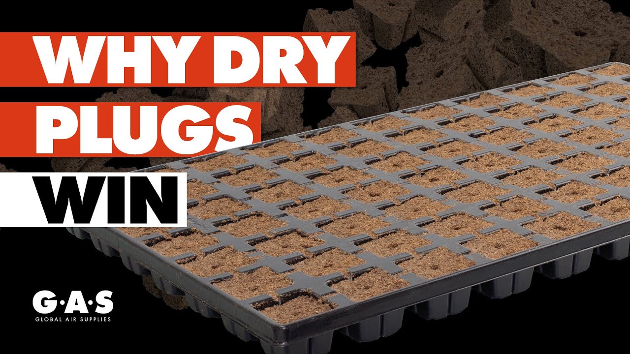 Объяснение принципа распространения сигнала Eazy Plug | Обзор продукта