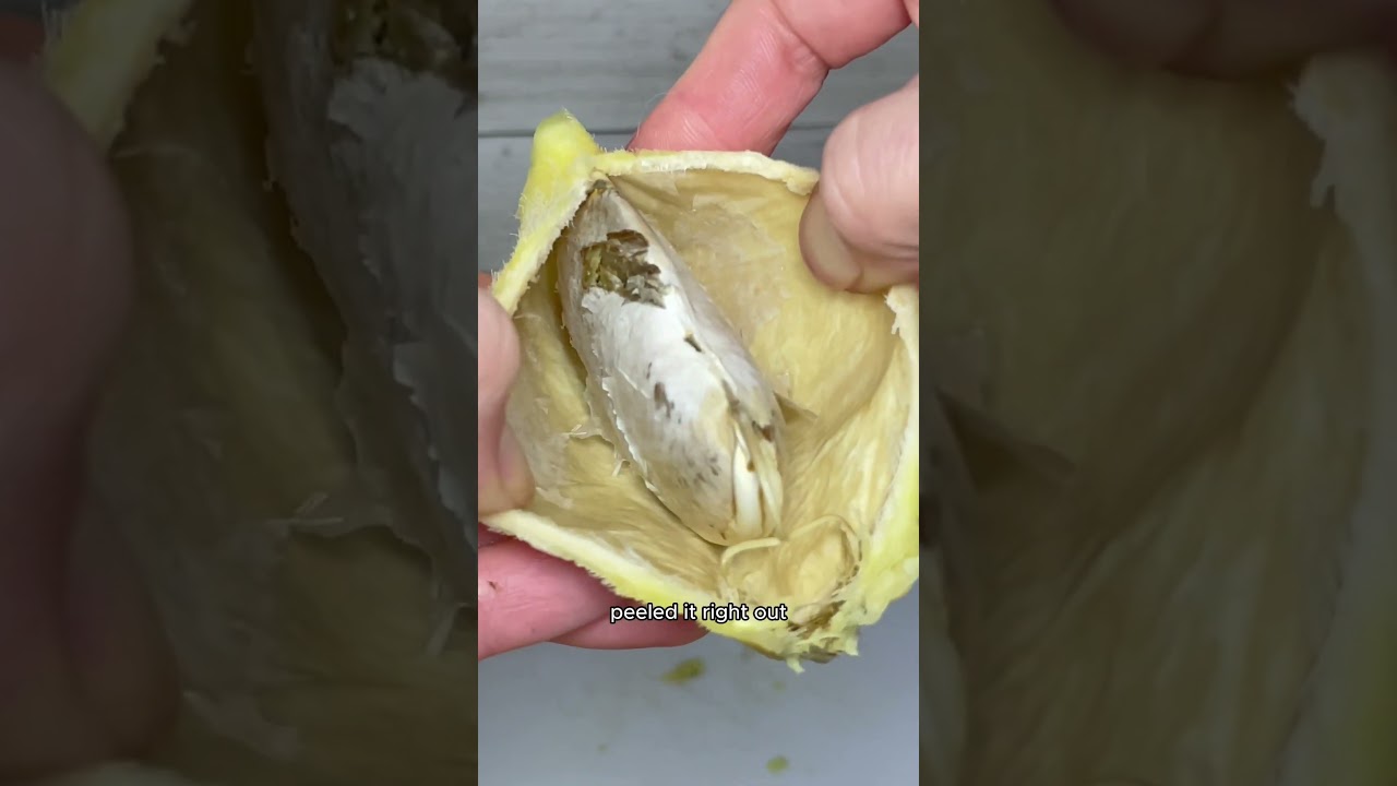 Как вырастить манго из косточки🥭