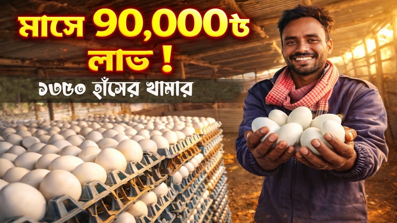 ১৩৫০ হাঁস থেকে মাসে ৯০,০০০ টাকা নিট লাভ! হাঁসের খামারে অভাবনীয় সাফল্য। অনন্ত এগ্রো।