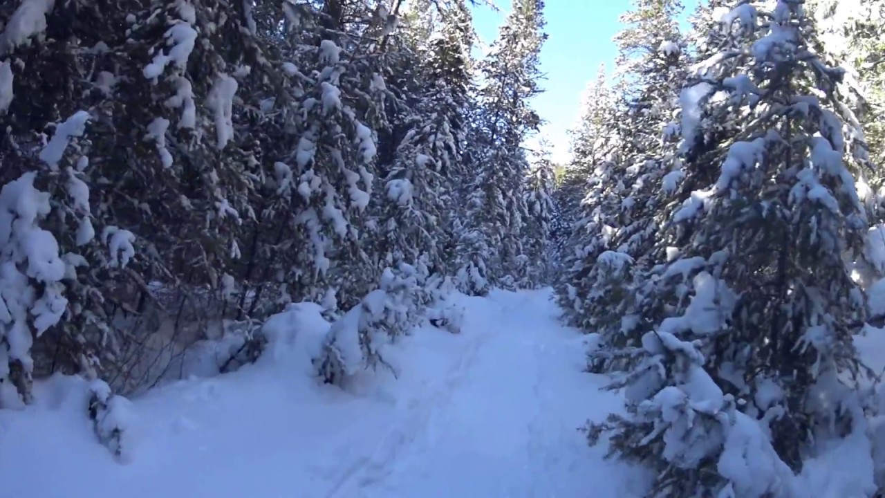 Rattlesnake Snowshoe Video Dec. 31 2016