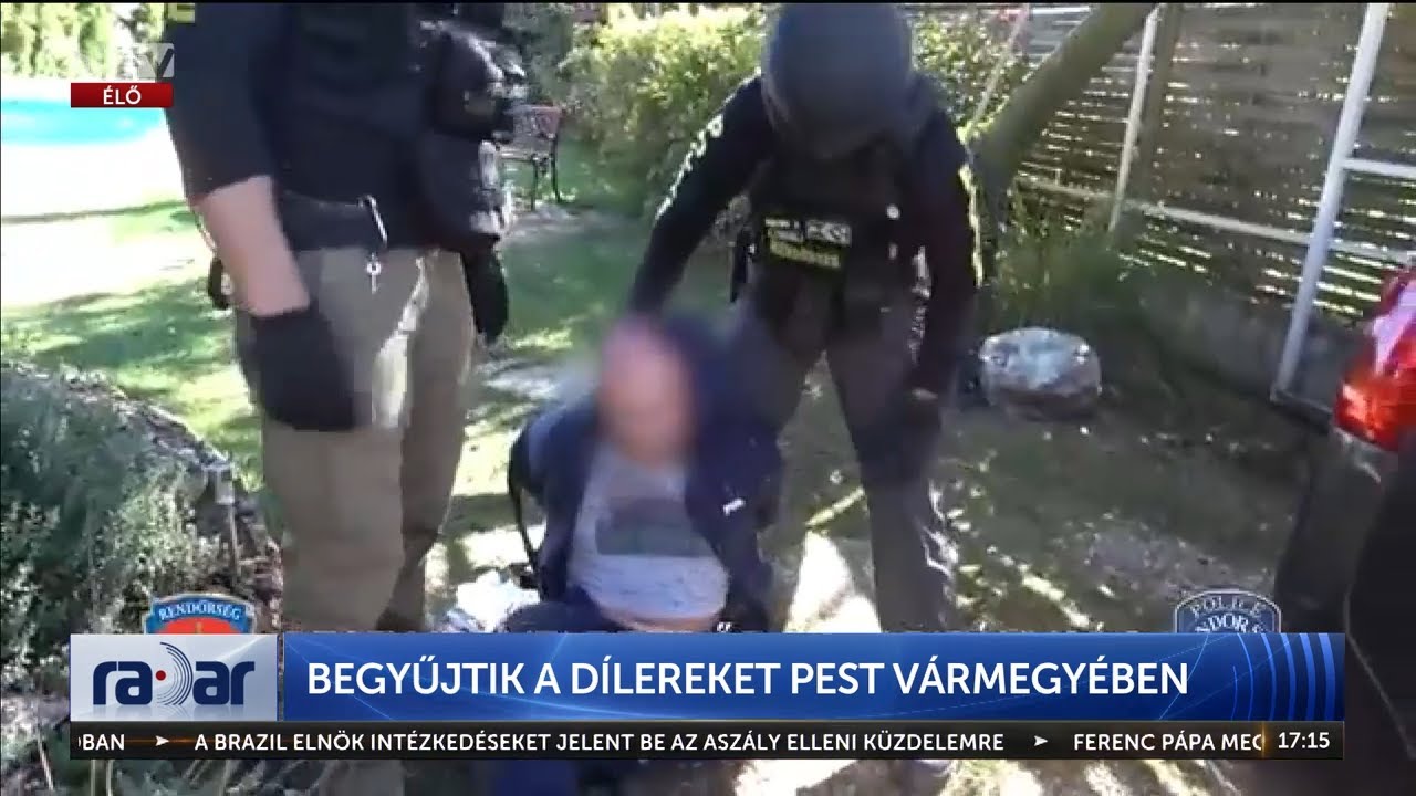 Radar - Begyűjtik a dílereket Pest vármegyében (2024-09-11) - HÍR TV