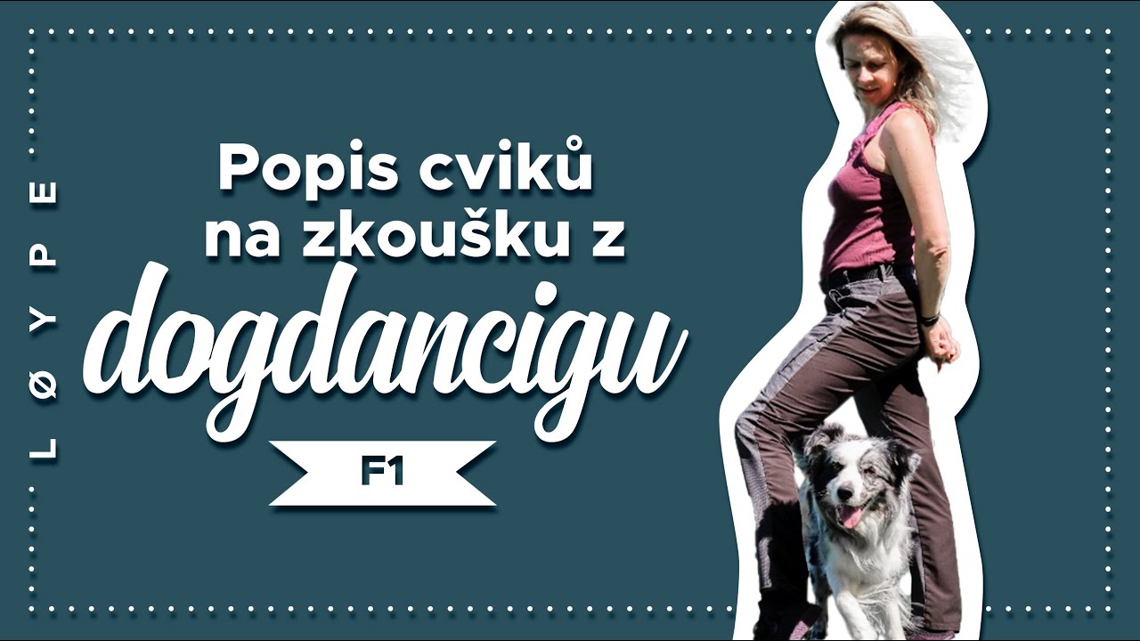 Popis cviků na zkoušku z dogdancingu | freestyle 1