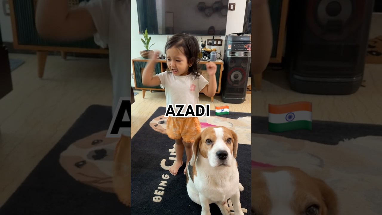 Gen Alpha generation #dogandbaby #studentprotest #protest #memes