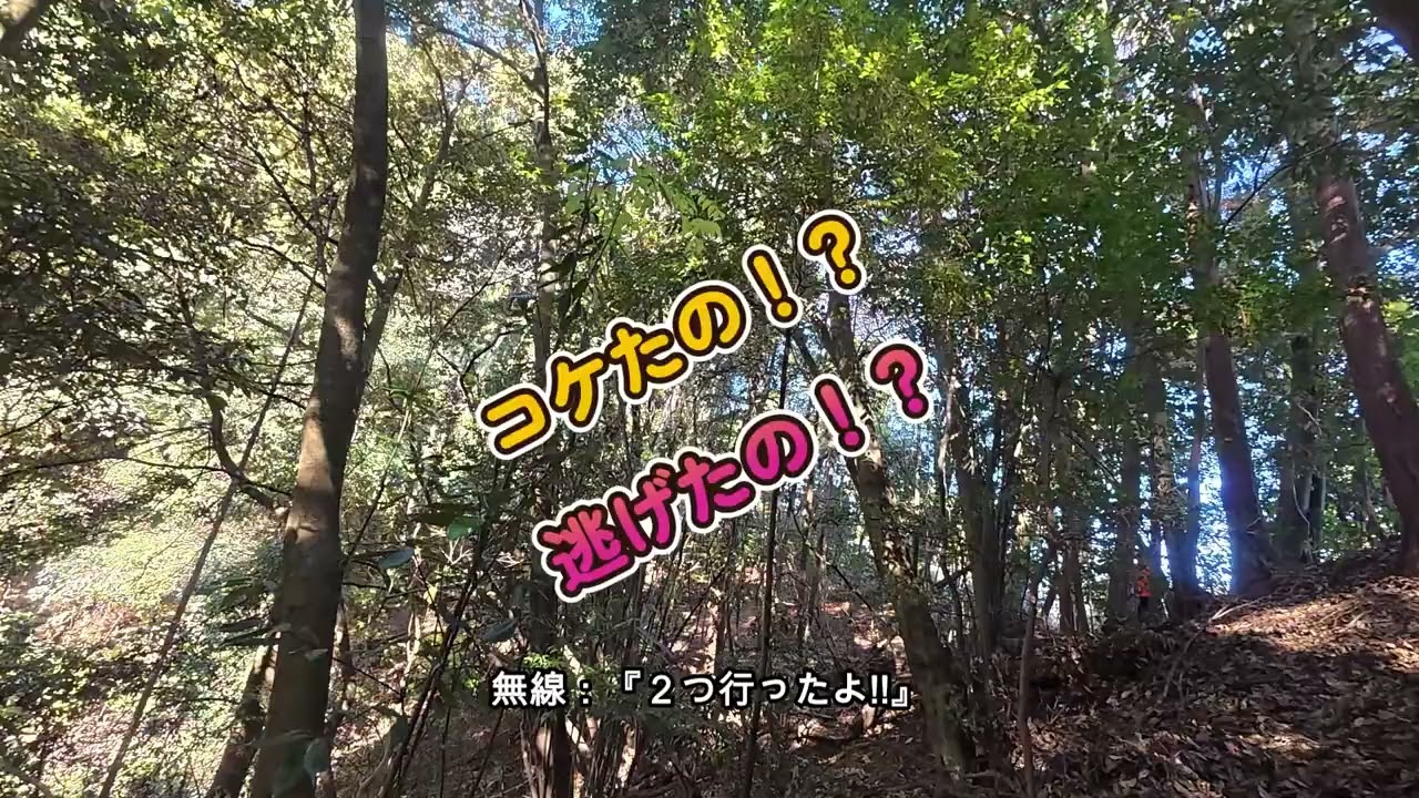 １R・２Rと決着の早い巻き狩り。