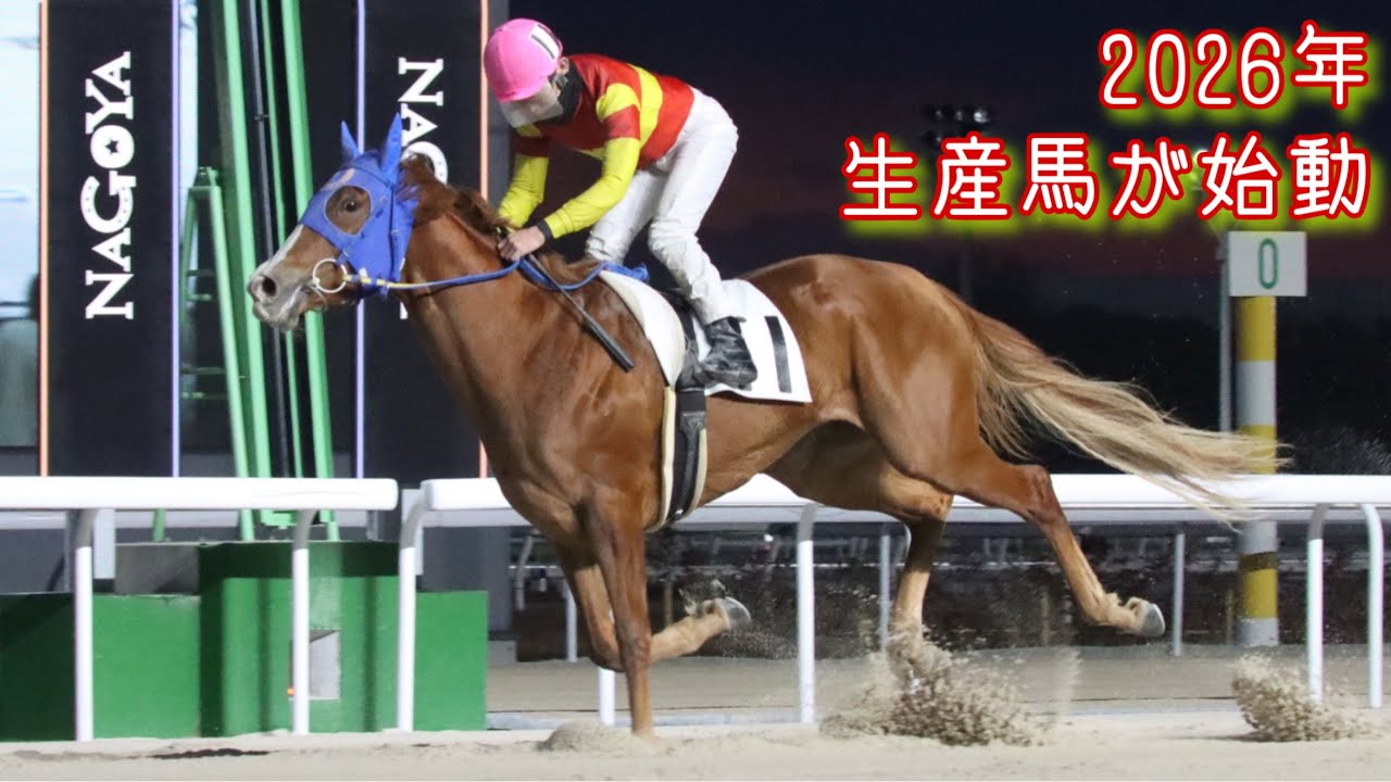 【2026年の生産馬初出走】エンジェルナンバーが1番人気で出走