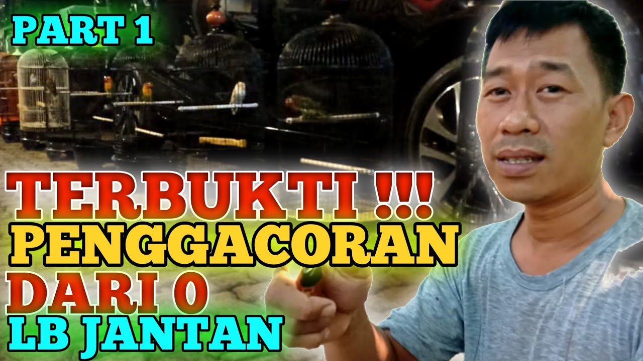 TERBUKTI!!! PENGGACORAN DARI 0 LOVEBIRD JANTAN