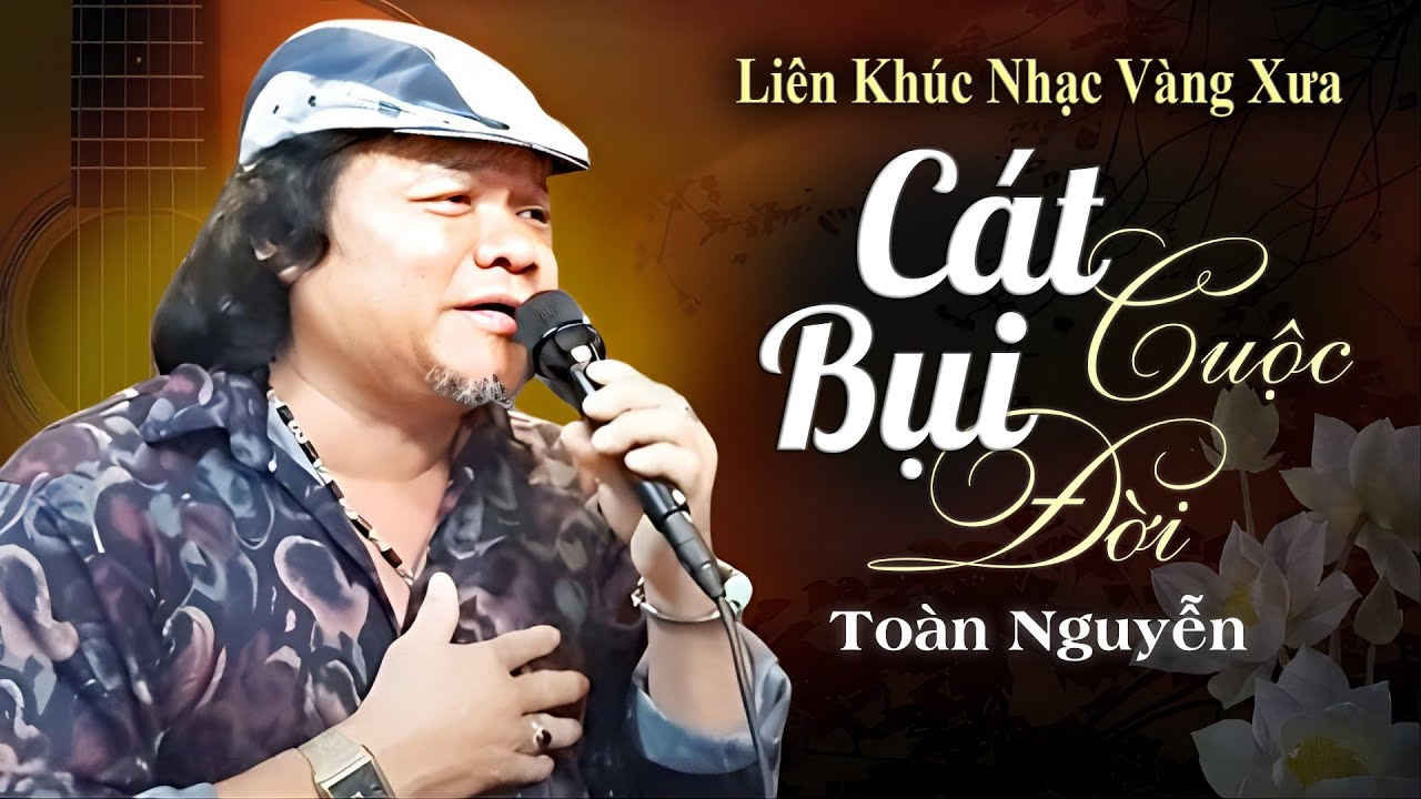 Tuyển Tập Nhạc Vàng Xưa Làm XAO XUYẾN TRIỆU NGƯỜI NGHE - TOÀN NGUYỄN | Cát Bụi Cuộc Đời, Chờ Đông