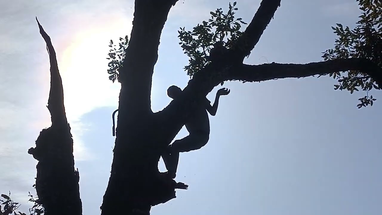 Janjal gaya baj k liya🥰