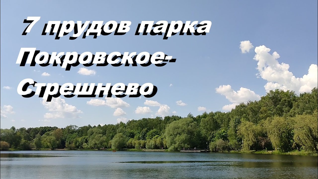 Парк Покровское - Стрешнево. Москва. Май 2025.