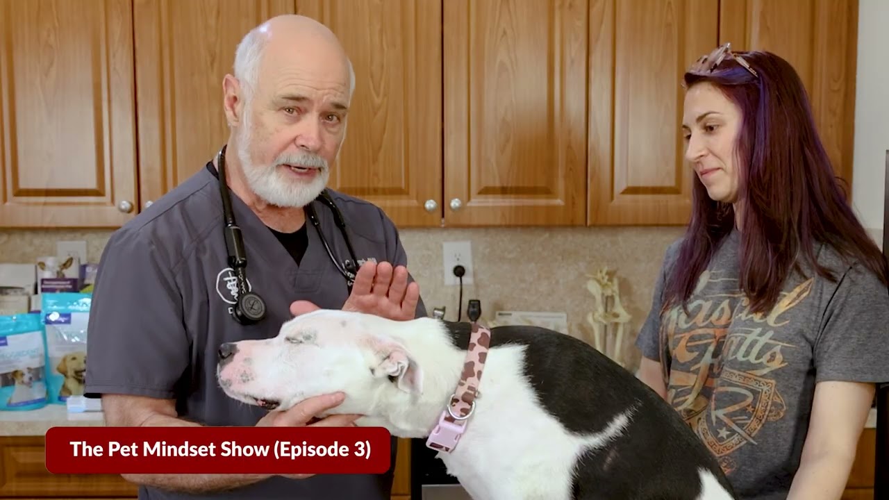 Pet Mindset Show Trailer | Meet Dr. Kevin Lynch and Archie | Simple Preventive Pet Care Starts Here