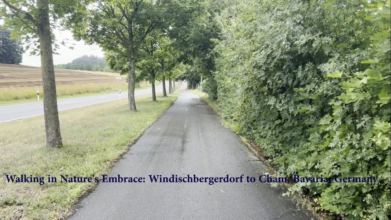 Walking in Nature's Embrace: Windischbergerdorf to Cham, Bavaria, Germany