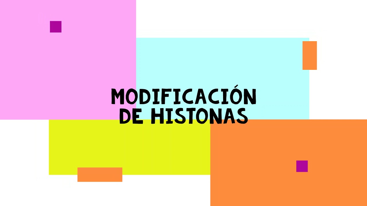 Mecanismos Epigen&eacute;ticos