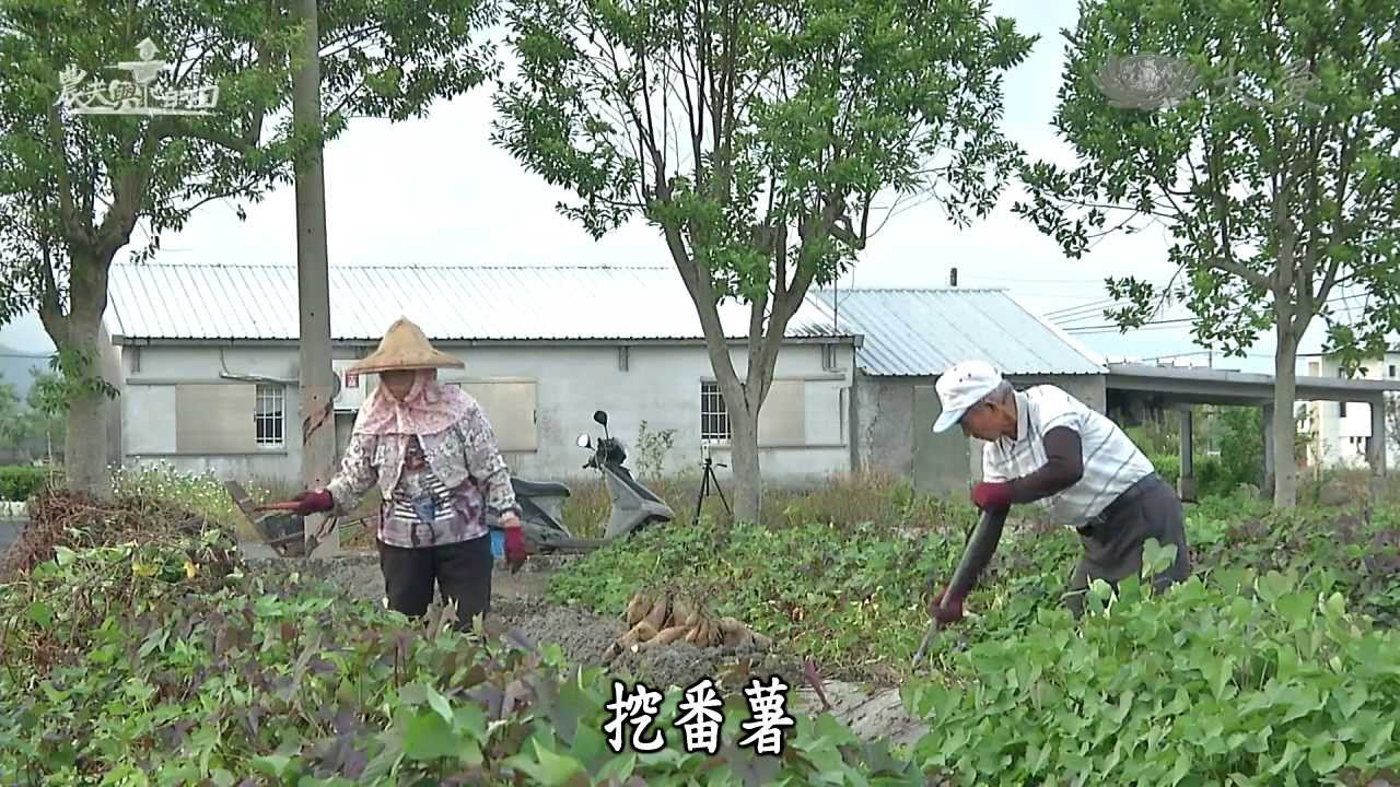 【農夫與他的田】20131102 - 行健有好田