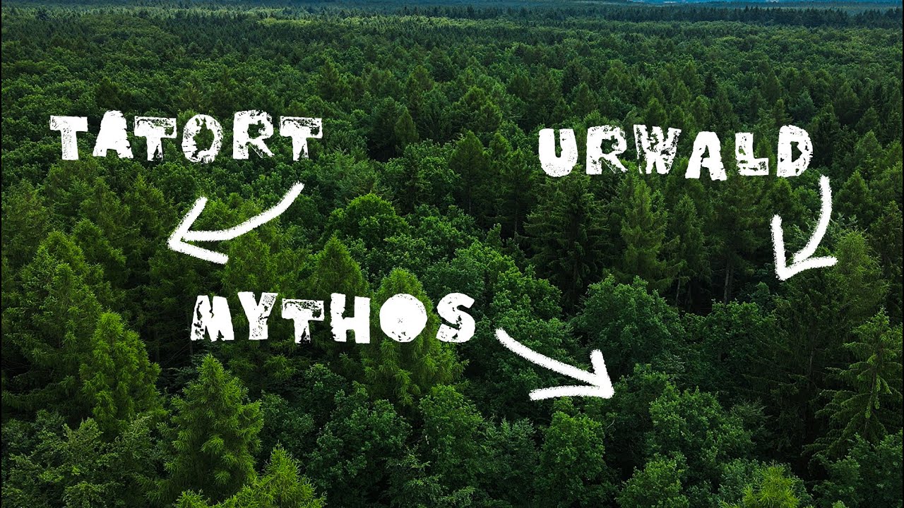 Wandern im legendären Sachsenwald