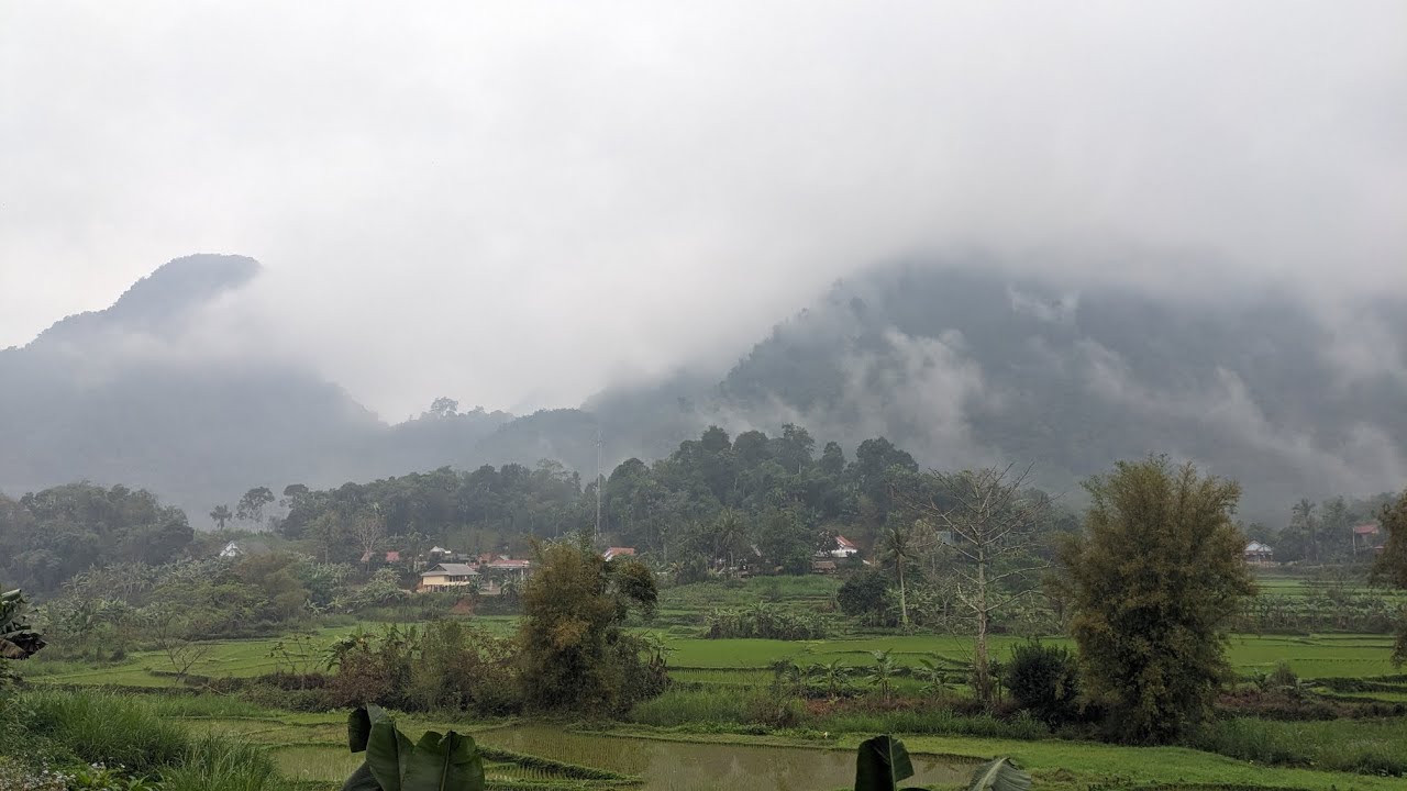 [Việt Nam]_Bá Thước Tết 2026