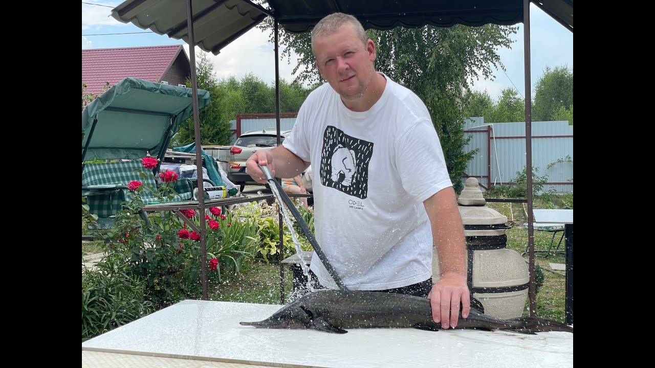 РЫБА НА УГЛЯХ. ШАШЛЫК ИЗ СТЕРЛЯДИ🦈🔥