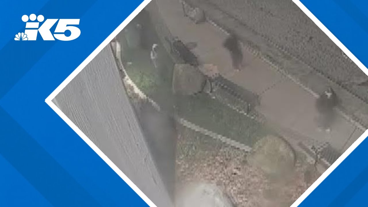 Video shows potential suspects in Edmonds shooting