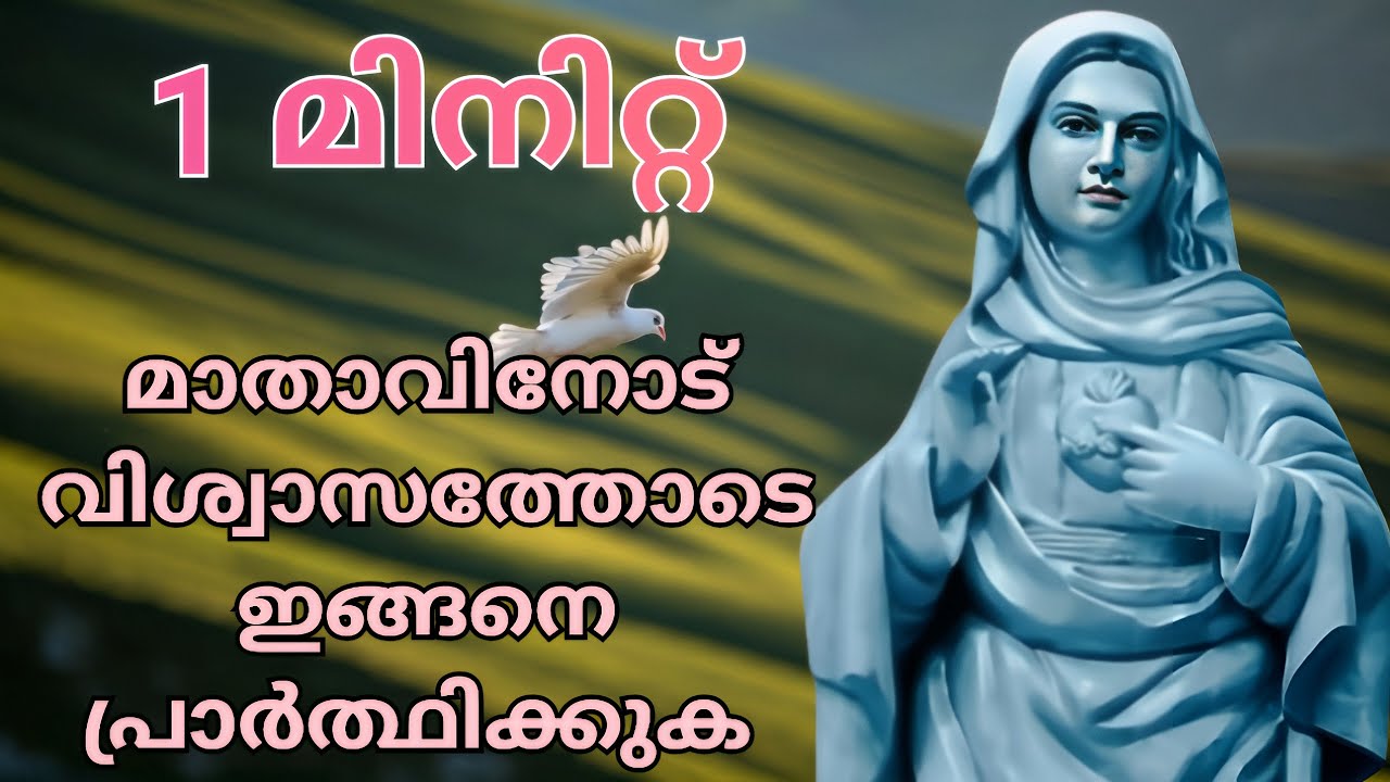 വിശ്വാസത്തോടെ ഇങ്ങനെ പ്രാർത്ഥിക്കുക 22/2/26 #kripasanam  #Kreupasanam #കൃപാസനംഅമ്മ